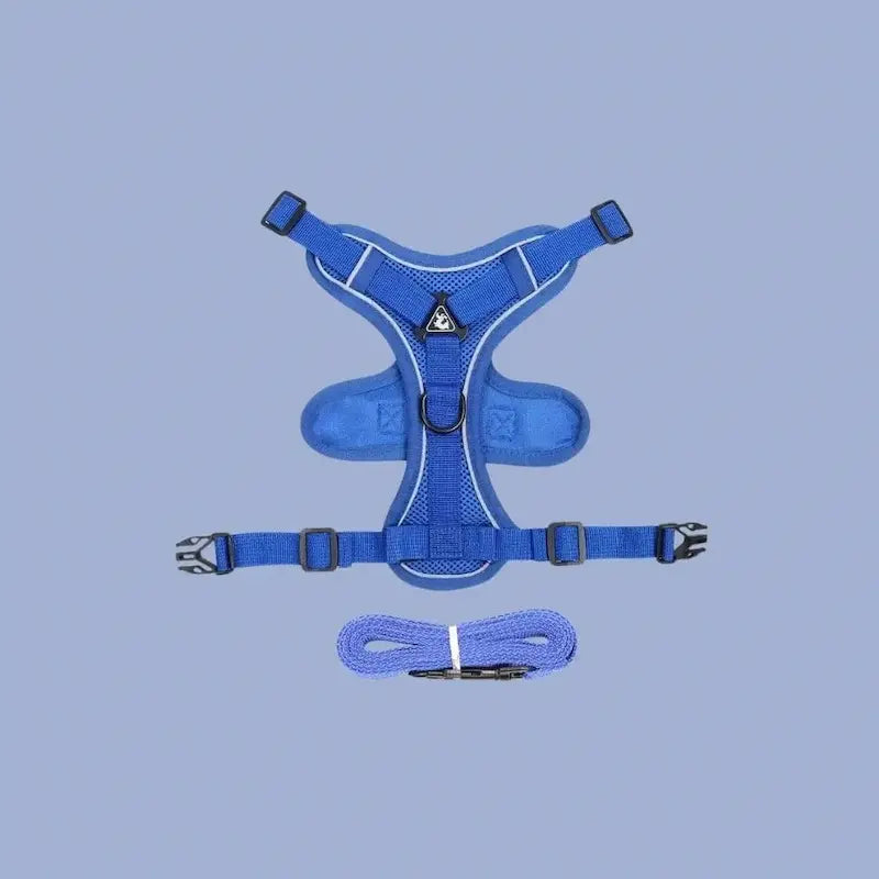 Y-shaped cat harness