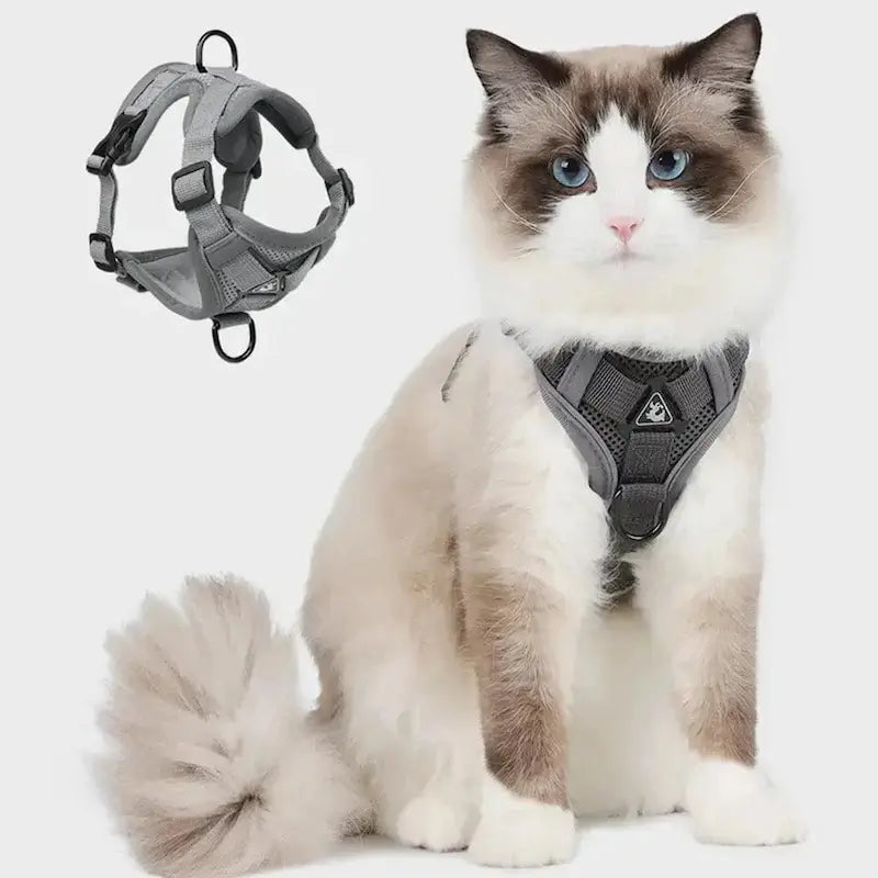 Y-shaped cat harness